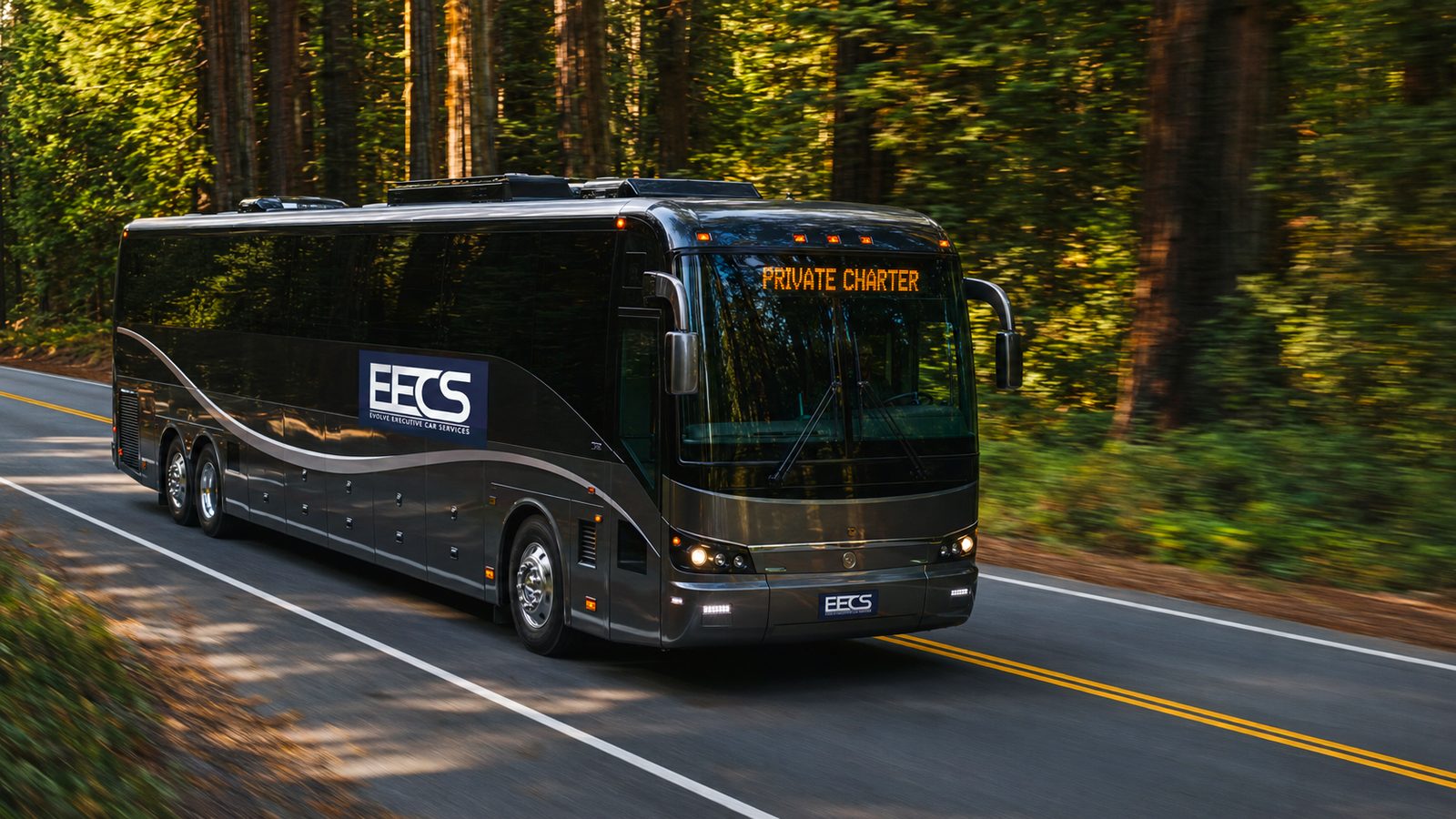 EvolveLimo coach on a forest route for a group excursion
